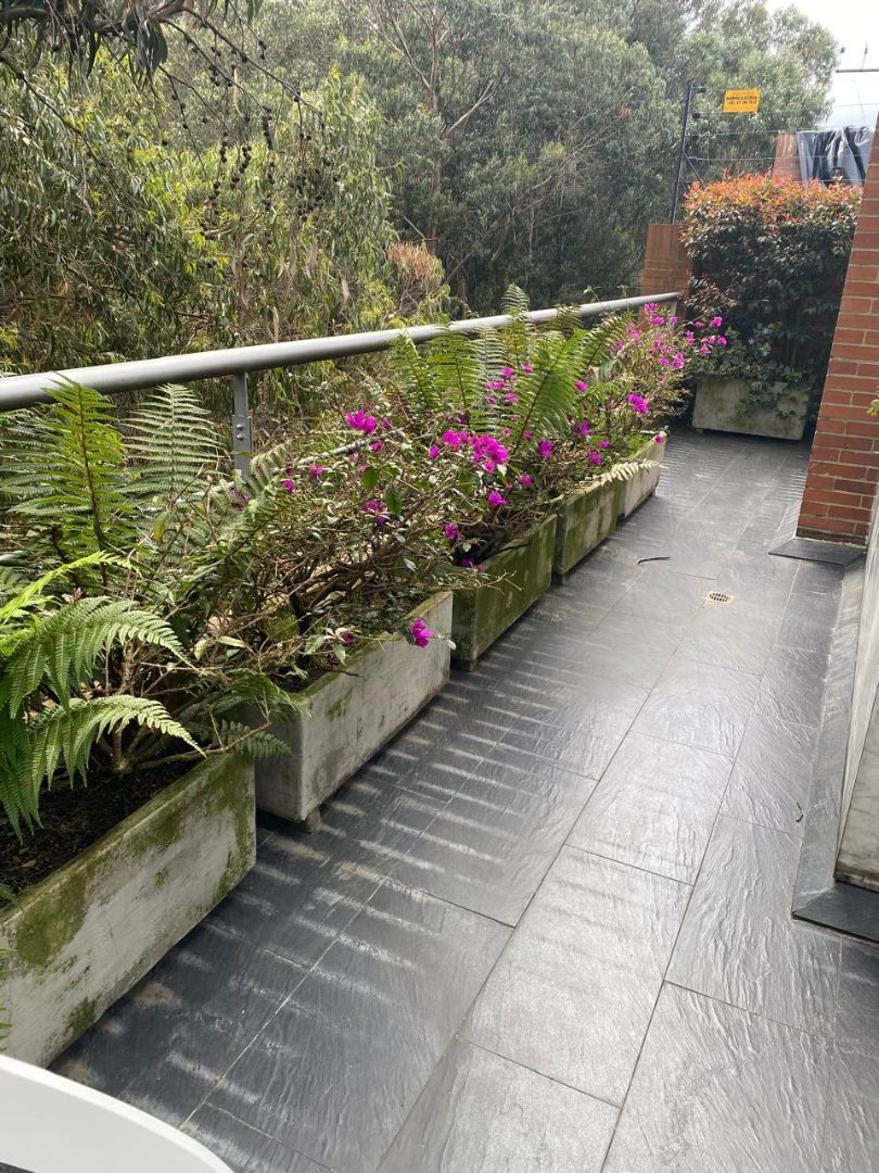 Foto 8 de 20: Apartamento en Usaquen, Bogotá D.C.