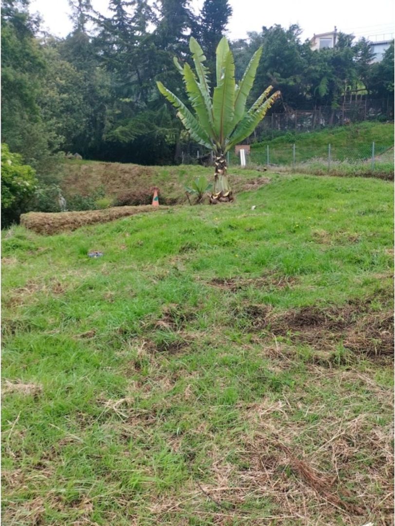 Foto 3 de 10: Lote en La Plazuela, La Calera