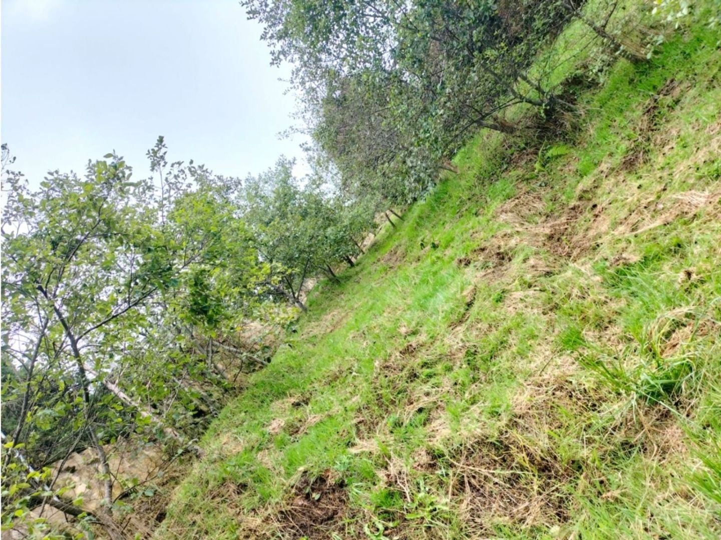 Foto 4 de 10: Lote en La Plazuela, La Calera