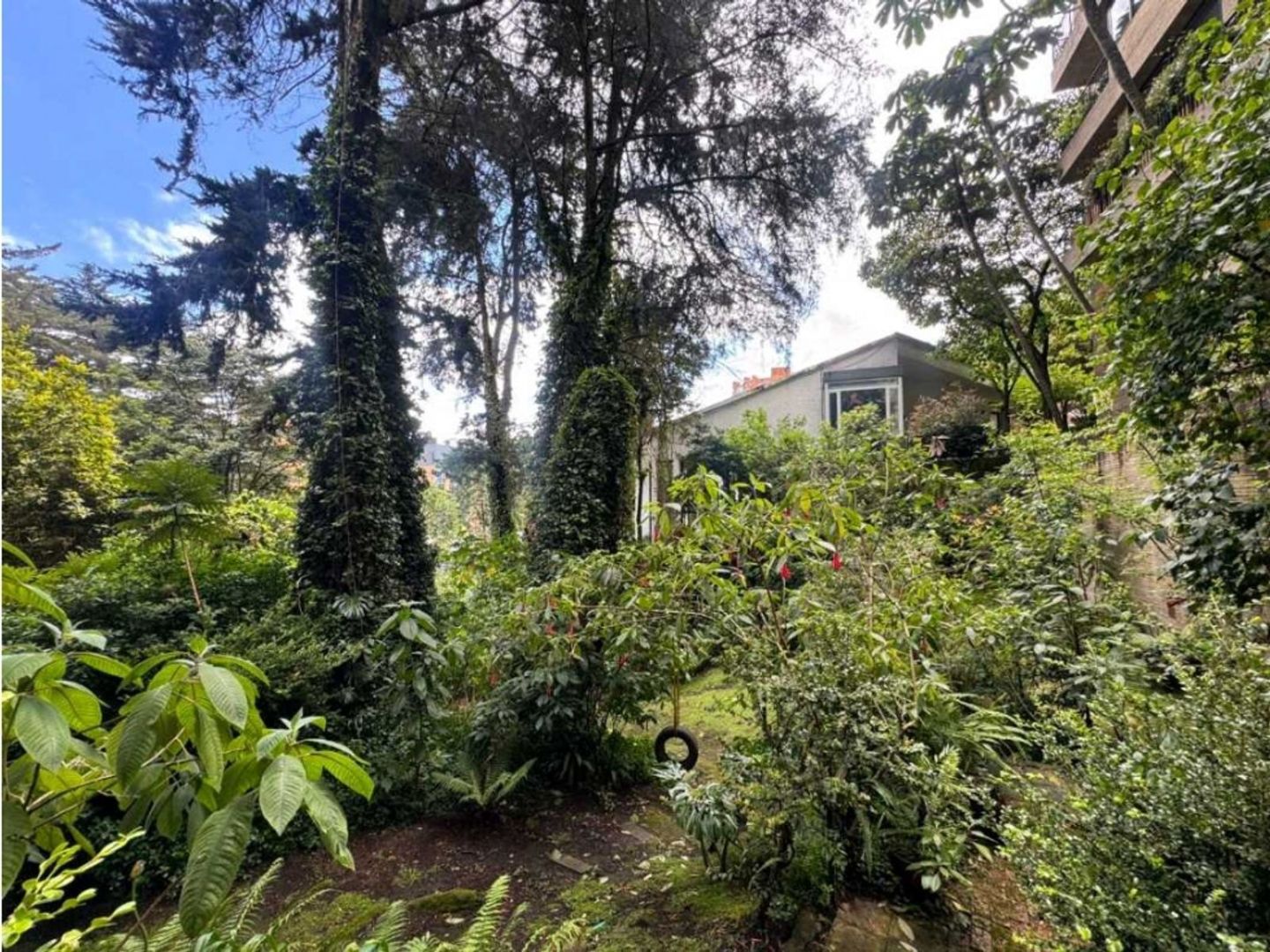 Foto 12 de 20: Apartamento en Chicó Norte, Bogotá D.C.