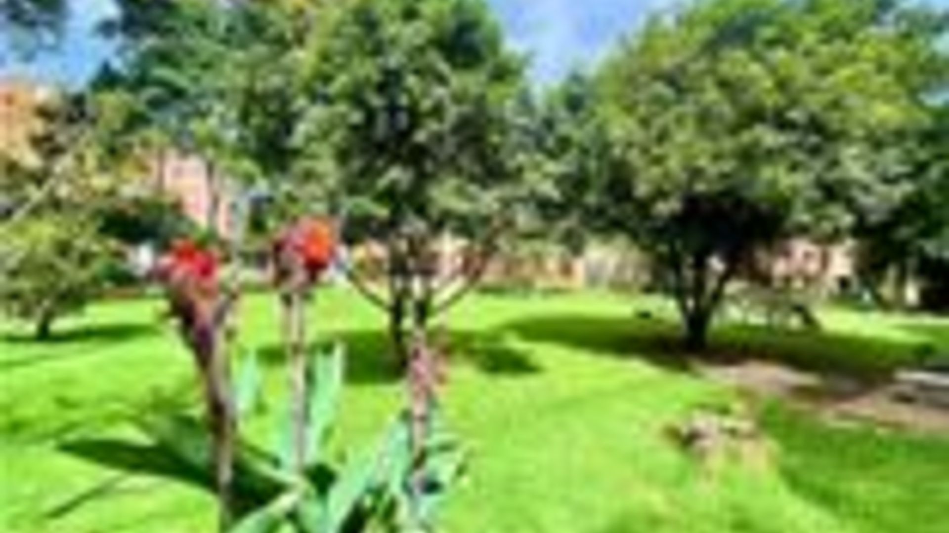 Foto 16 de 18: Apartamento en Santa Bárbara Oriental, Bogotá D.C.