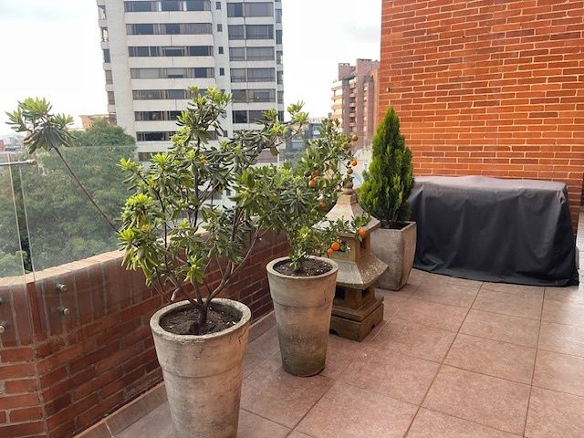 Foto 9 de 13: Apartamento en Los Rosales, Bogotá D.C.