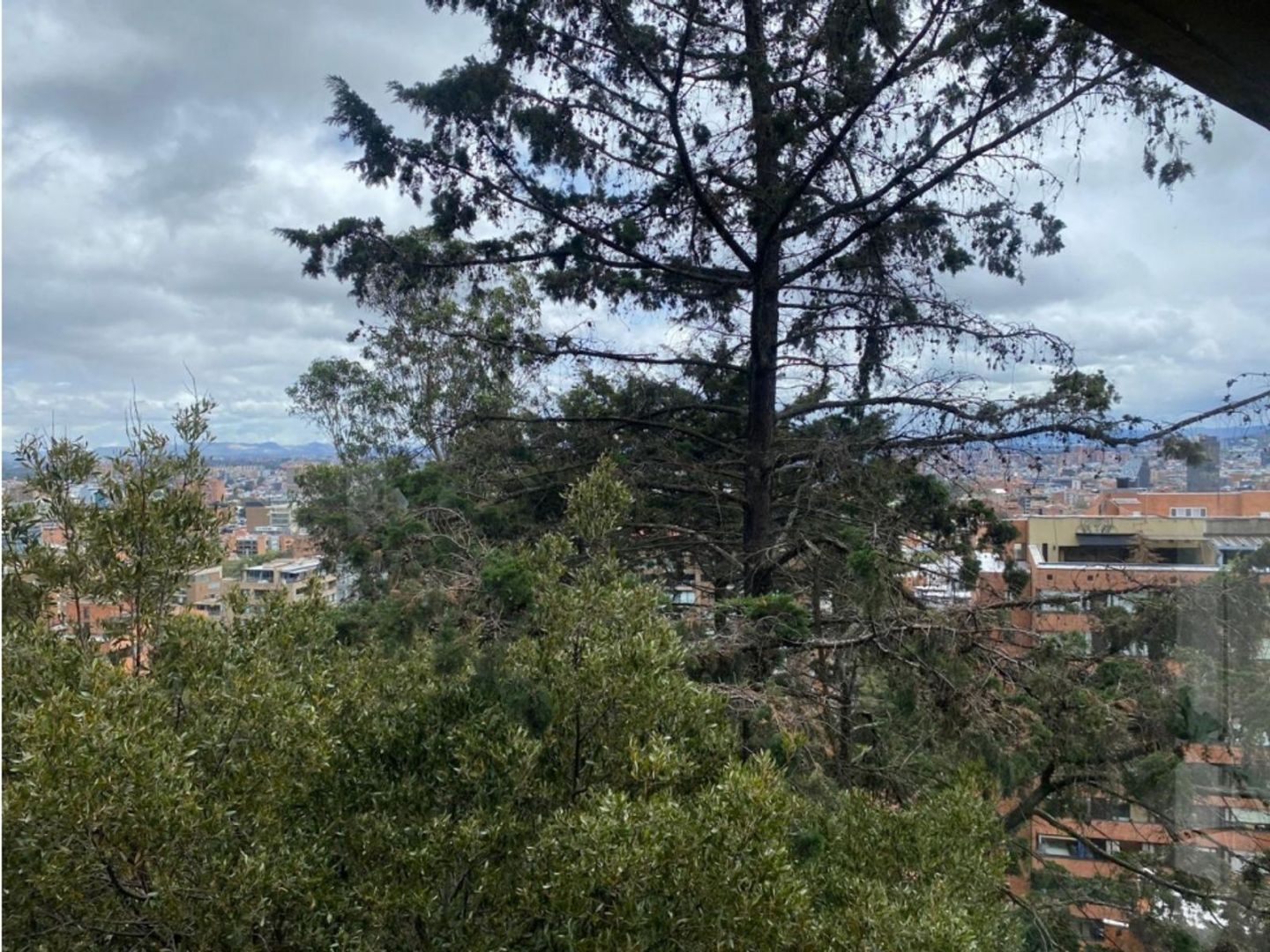 Foto 11 de 20: Apartamento en El Espartillal, Bogotá D.C.